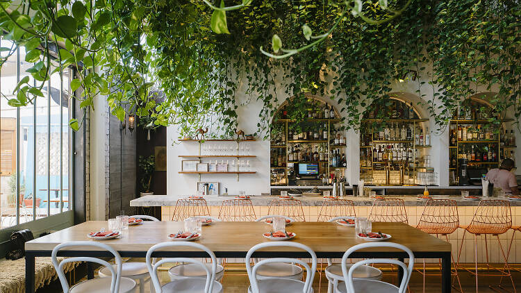 Private Dinner at Bavel